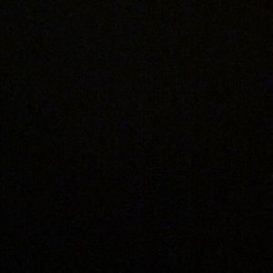 Meet your Posher, Mikayla